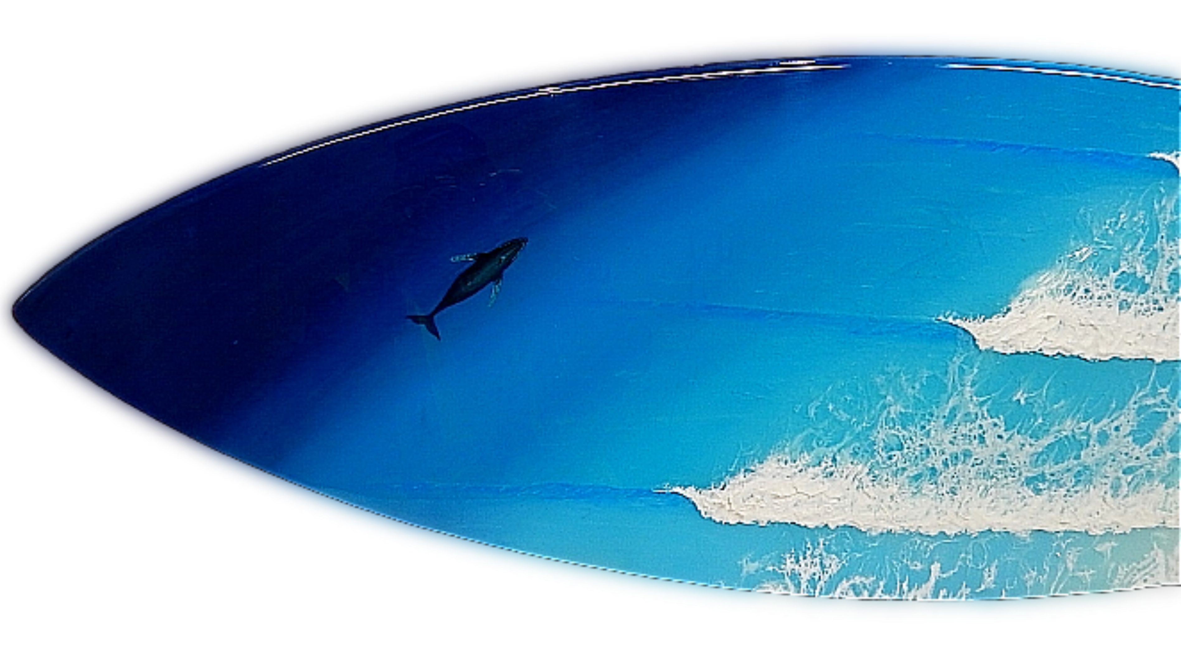 Echo point surfboard