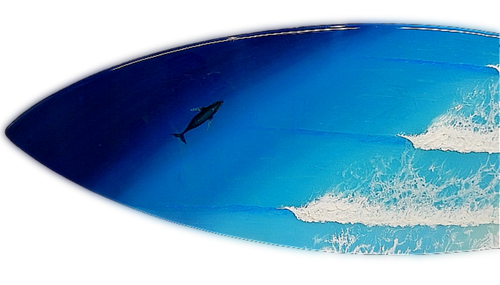 Echo point surfboard