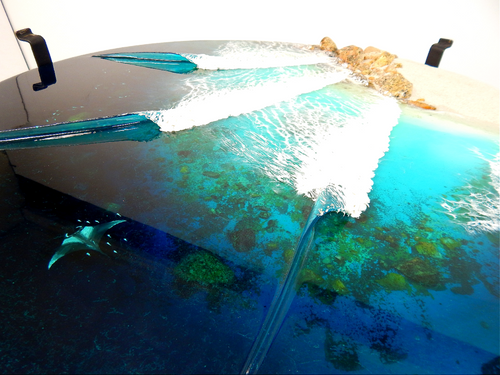 Fantasy island 600 manta ray