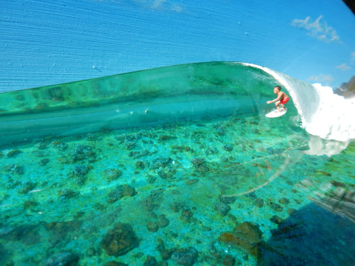 Slice of Paradise Down South