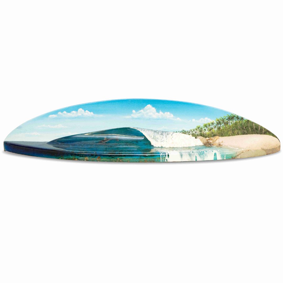 Slice of paradise dolphin