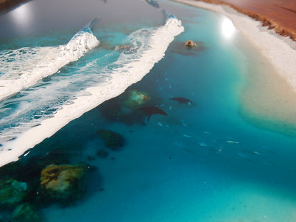 Banksia surf beach