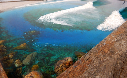 Driftwood beach coffee table